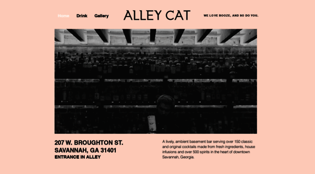 alleycatsavannah.com