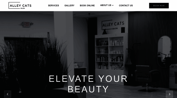 alleycatshairstudio.com