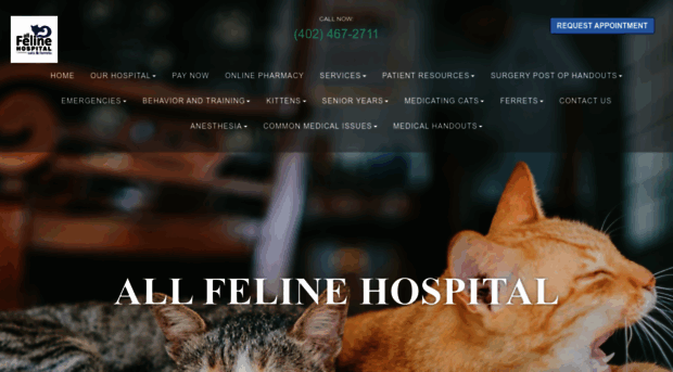 allfelinehospital.com