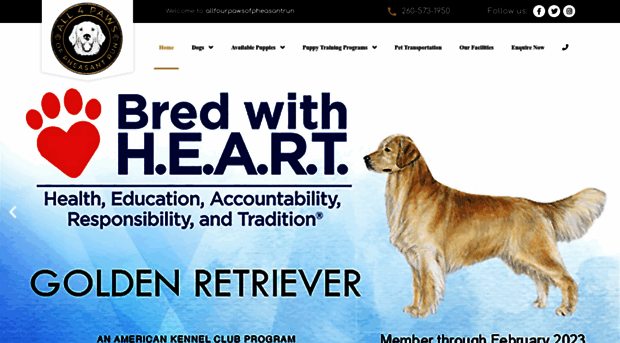 allfourpawsofpheasantrun.com
