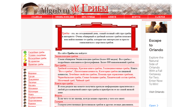 allgrib.ru