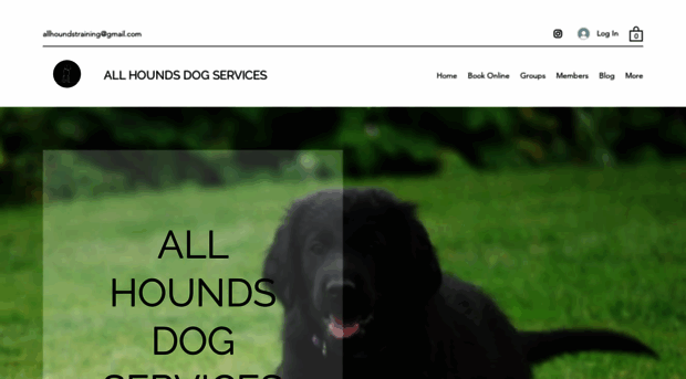 allhoundsdogtraining.com
