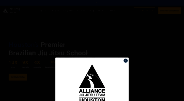 alliancebjjhouston.com