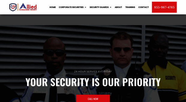 alliedintsecurity.com