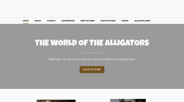 alligatorusa.weebly.com