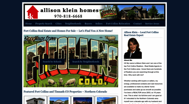 allisonkleinhomes.com