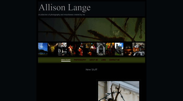 allisonlange.com