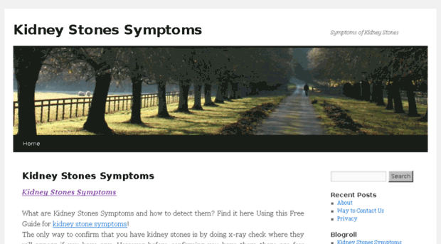 allkidneystonessymptoms.com