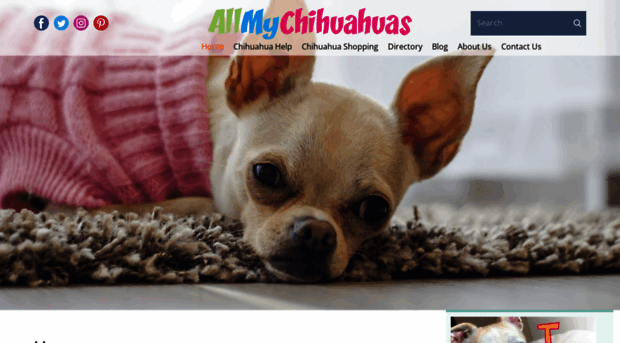 allmychihuahuas.com