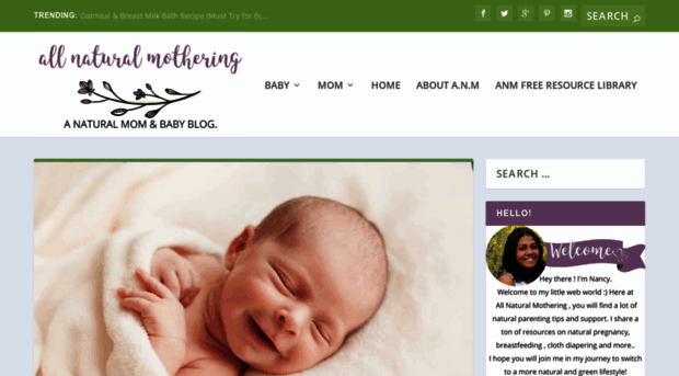 allnaturalmothering.com