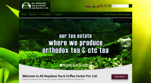 allnepaltea.com