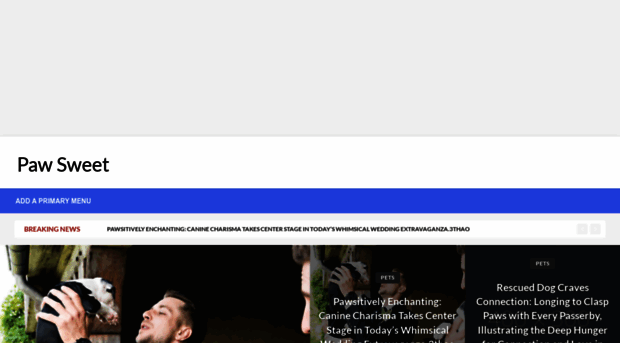allnewsn.com