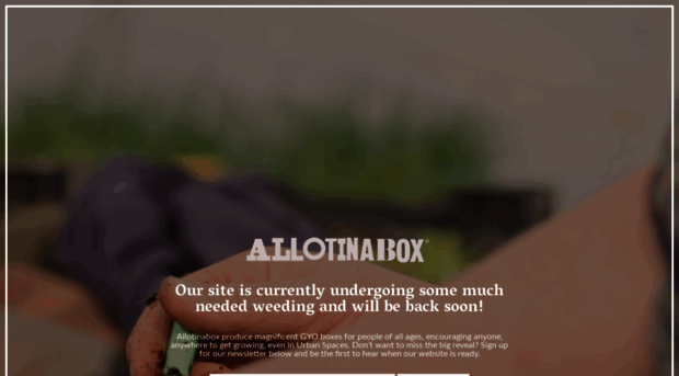 allotinabox.com