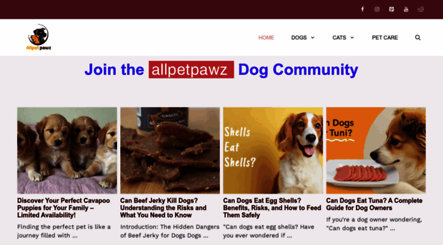 allpetpawz.com