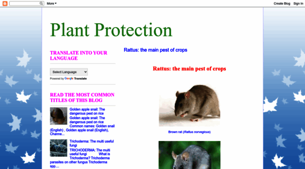 allplantprotection.blogspot.com