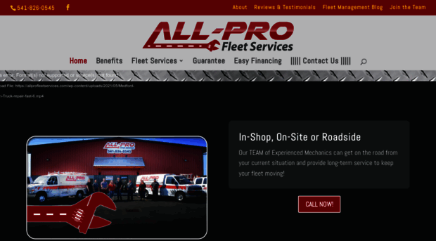 allprofleetservices.com