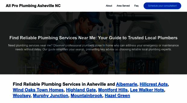 allproplumbingashevillenc.com