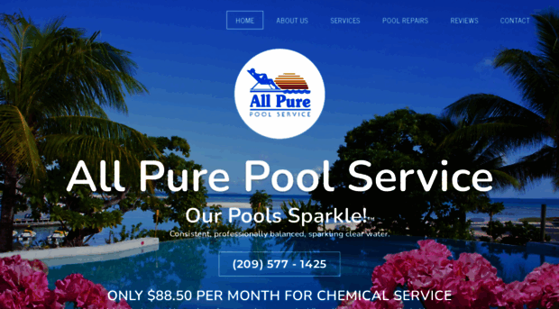 allpurepoolservice.com