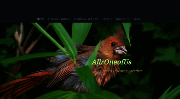 allroneofus.com