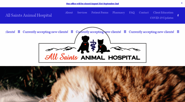 allsaintsanimalhospital.com