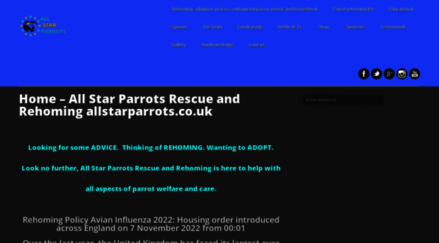 allstarparrots.co.uk