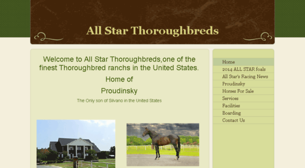 allstarthoroughbred.com