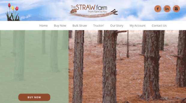 allstraw.com