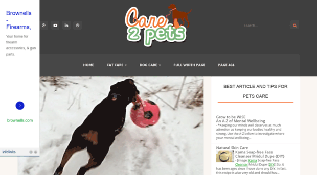 allthebestpetcare.blogspot.com