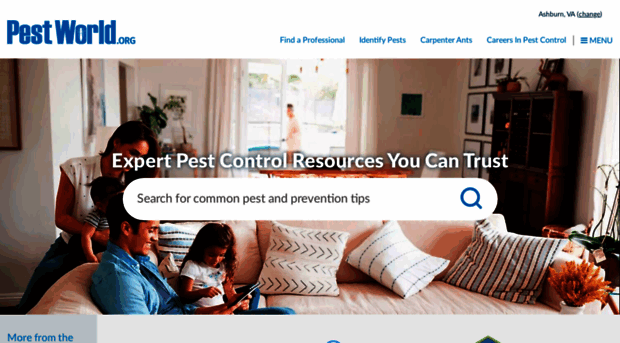 allthingsbedbugs.com