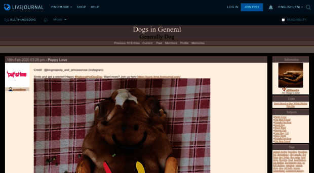 allthingsdog.livejournal.com