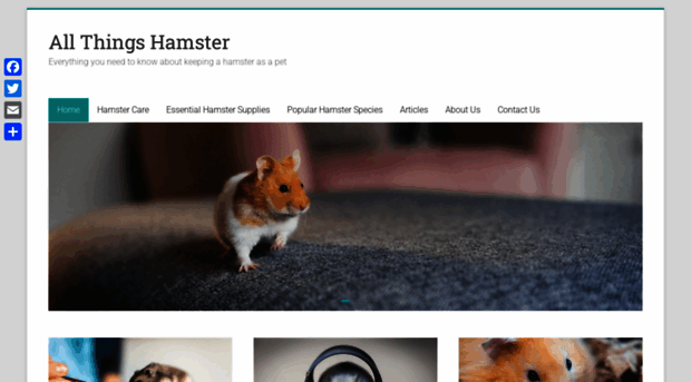 allthingshamster.com