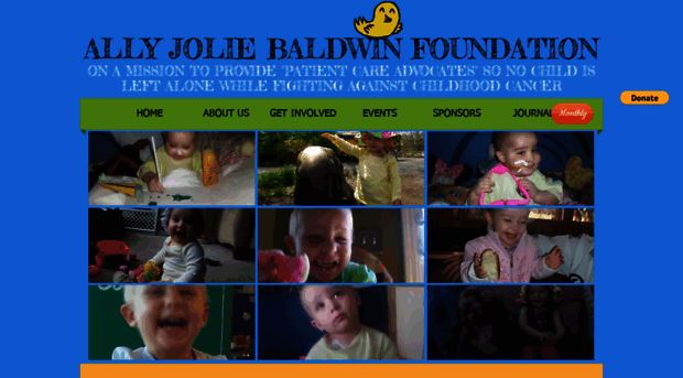 allyjoliebaldwinfoundation.org