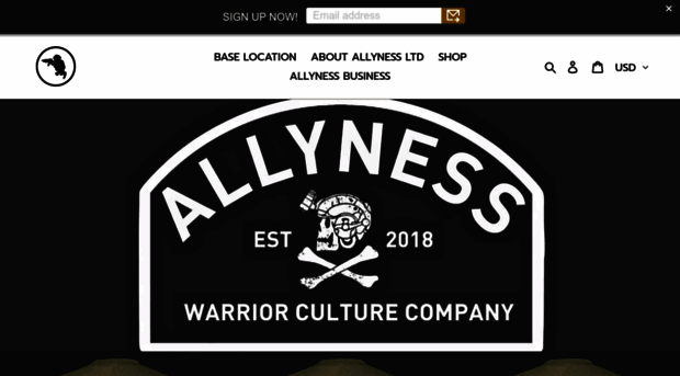 allyness.com