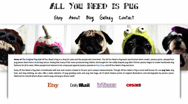 allyouneedispug.com