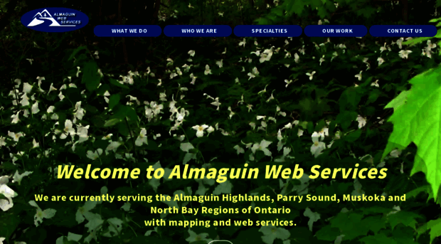 almaguinweb.com