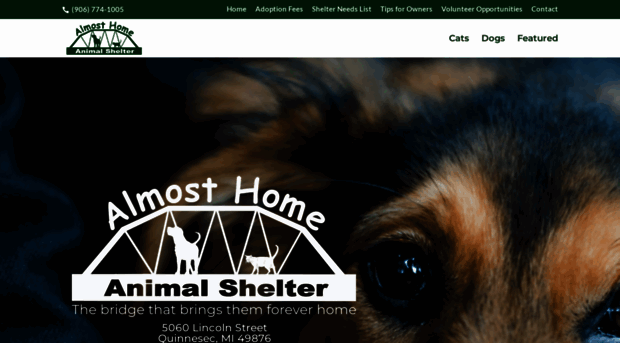 almosthomeanimalsheltermi.com