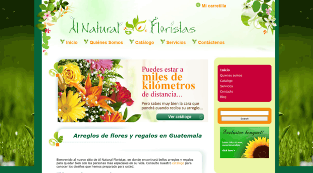 alnaturalfloristas.com