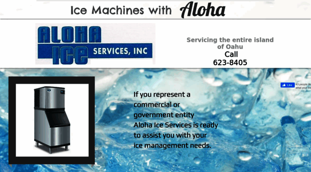 alohaiceservices.com