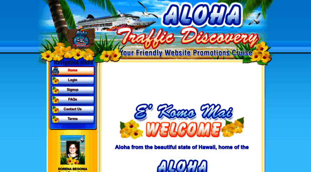 alohatrafficdiscovery.com