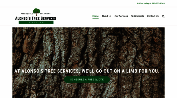 alonsostreeservices.com