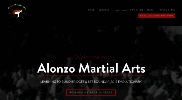 alonzomartialarts.com