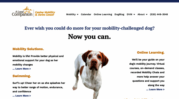 aloyalcompanion.com