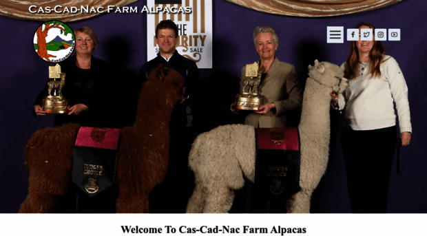 alpacaexcellence.com