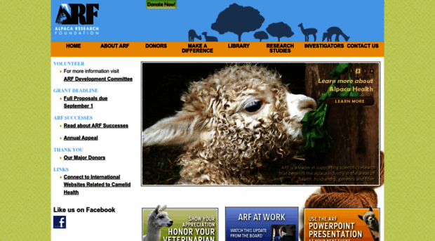 alpacaresearch.org