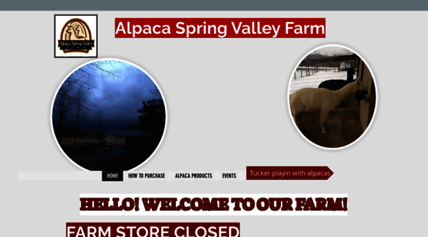 alpacaspringvalley.com