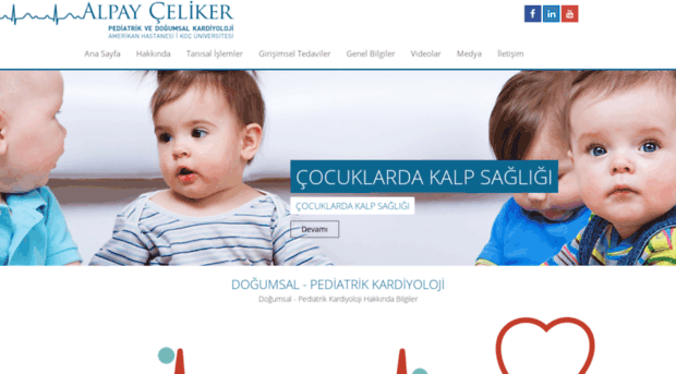 alpayceliker.com