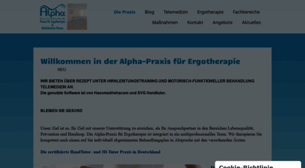 alpha-ergopraxis.de