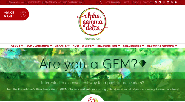 alphagammadeltafoundation.org