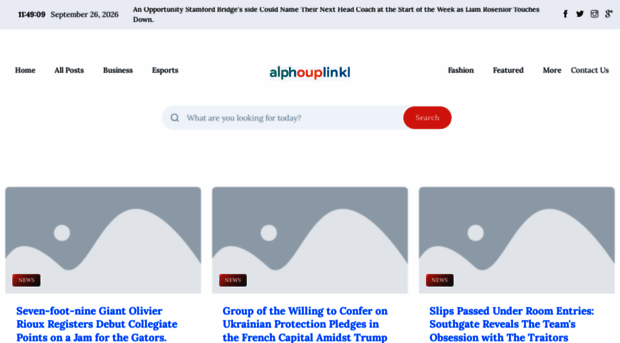 alphagrouplink.nl
