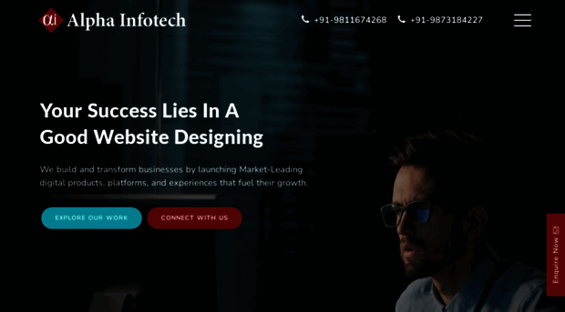 alphainfotech.net